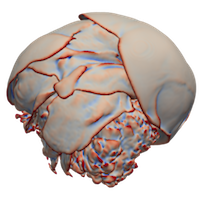 Finely-Threaded History-Based Topology Computation